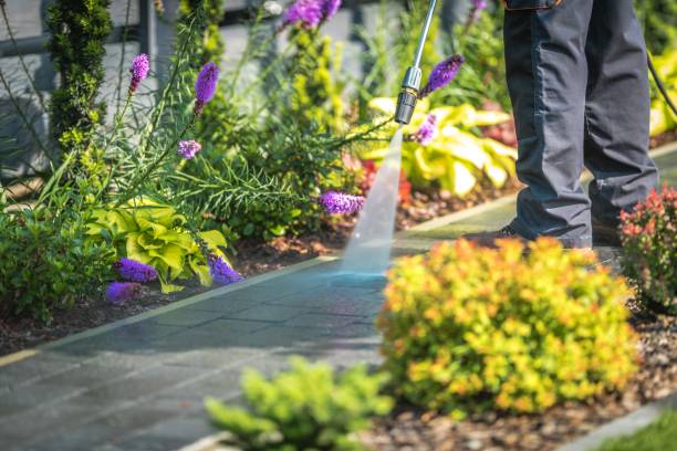 Mentone, CA Pressure Washing Company